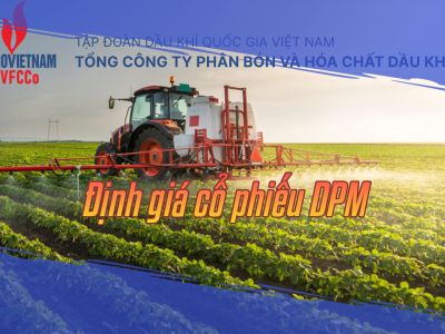 Định Giá Cổ Phiếu DPM