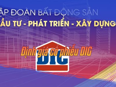 Định giá cổ phiếu DIG